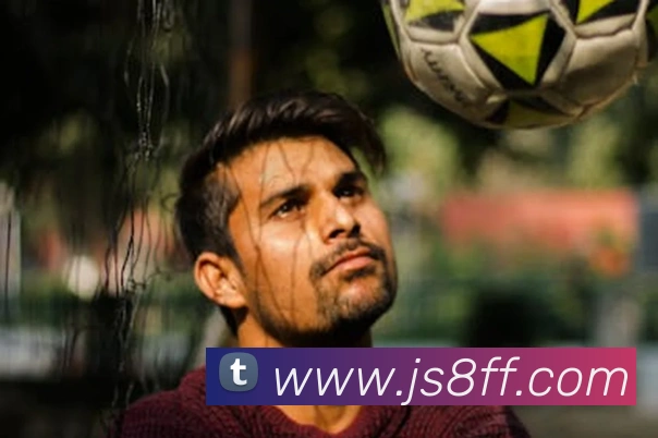 多媒体互动体验